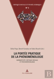 La Portée Pratique De La Phénoménologie : Normativité, Critique Sociale Et Psychopathologie