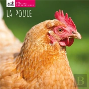 La Poule