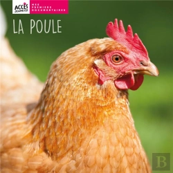Bertrand.pt - La Poule