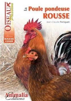 Bertrand.pt - La Poule Pondeuse Rousse