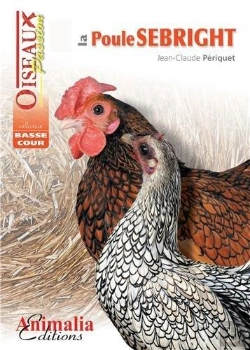 Bertrand.pt - La Poule Sebright