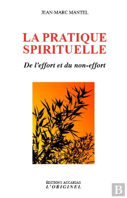 Bertrand.pt - La Pratique Spirituelle ; De L'Effort Et Du Non-Effort