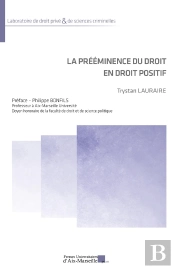 La Prééminence Du Droit En Droit Positif