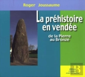 La Préhistoire En Vendée ; De La Pierre Au Bronze