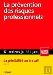 La Prevention Des Risques Professionnels