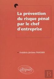 La Prévention Du Risque Pénal Par Le Chef D'Entreprise