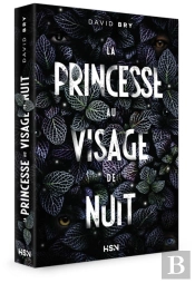 La Princesse Au Visage De Nuit
