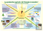 La Production Agricole : De L'Énergie À Revendre