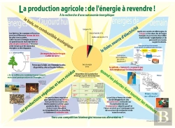 Bertrand.pt - La Production Agricole : De L'Énergie À Revendre