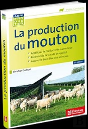 La Production Du Mouton