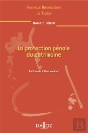 La Protection Pénale Du Patrimoine - Volume 98