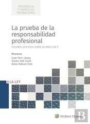 La Prueba De La Responsabilidad Profesional