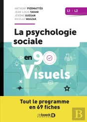 La Psychologie Sociale En 90 Visuels : Licences 1 Et 2
