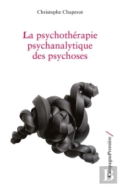 La Psychothérapie Psychanalytique Des Psychoses