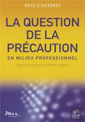 La Question De La Precaution En Milieu Professionnel