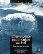 La Question Patrimoniale Au Sud