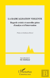 La Radicalisation Violente : Regards Croisés Et Nouvelles Pistes D'Analyse Et D'Intervention