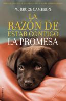 La Razón De Estar Contigo. La Promesa