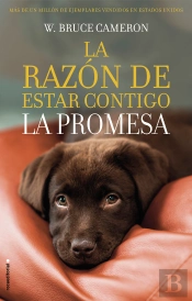 La Razón De Estar Contigo. La Promesa