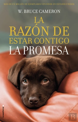 Bertrand.pt - La Razón De Estar Contigo. La Promesa