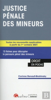 La Reforme De La Justice Des Mineurs 2e Ed. - 18 Fiches Pour Faire Le Point Toutes Innovations Appor