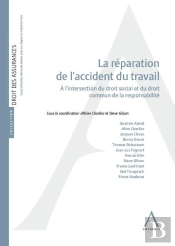 La Réparation De L'Accident Du Travail : À L'Intersection Du Droit Social Et Du Droit Commun De La Responsabilité (1re Édition)