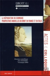 La Réparation Du Dommage : Perspectives Nouvelles Du Droit En France Et En Italie
