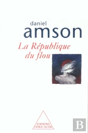 La Republique Du Flou ; Les Imperfections De Notre Systeme Constitutionnel