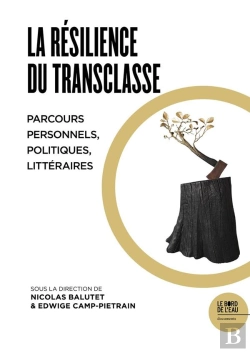 Bertrand.pt - La Résilence Du Transclasse ; Parcours Personnels, Politiques, Littéraires