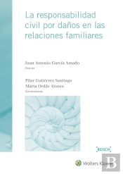 La Responsabilidad Civil Por Daños En Las Relaciones Familiares