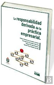 La Responsabilidad Derivada De La Práctica Empresarial