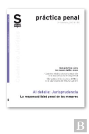La Responsabilidad Penal De Los Menores