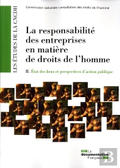 La Responsabilité Des Entreprises En Matière De Droits De L'Homme