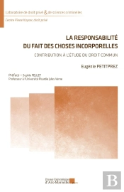 La Responsabilité Du Fait Des Choses Incorporelles : Contribution À L'Étude Du Droit Commun