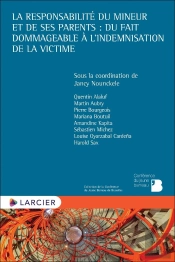 La Responsabilité Du Mineur Et De Ses Parents : Du Fait Dommageable À L'Indemnisation De La Victime