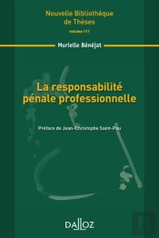 La Responsabilité Pénale Professionnelle ; Contribution À La Théorie De L'Interprétation Et De La Mise En Effet Des Normes
