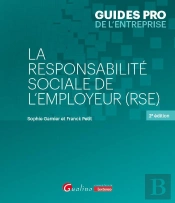 La Responsabilité Sociale De L'Employeur (Rse) (2e Édition)