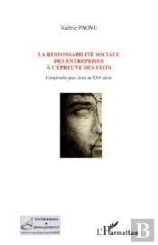 La Responsabilité Sociale Des Entreprises À L'Épreuve Des Faits ; Comprendre Pour Durer Au Xxi Siècle