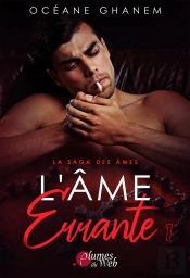 La Saga Des Âmes Tome 3 ; L'Âme Errante 1