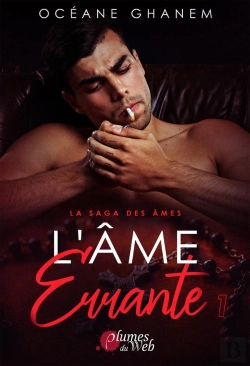 Bertrand.pt - La Saga Des Âmes Tome 3 ; L'Âme Errante 1