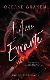 La Saga Des Âmes Tome 3 : L'Âme Errante