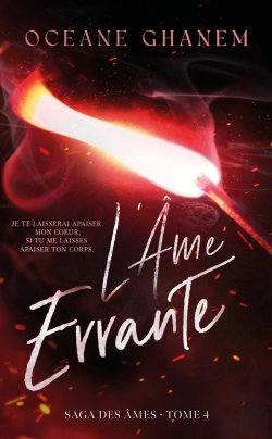 Bertrand.pt - La Saga Des Âmes Tome 4 : L'Âme Errante Tome 2
