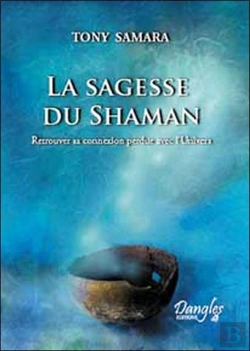 Bertrand.pt - La Sagesse Du Shaman ; Retrouver Sa Connexion Perdue Avec L'Univers