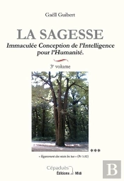 La Sagesse T.3 ; Immaculée Conception De L'Intelligence Pour L'Humanité