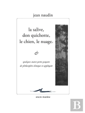 La Salive, Don Quichotte, Le Chien, Le Nuage... Et Quelques Autres Petits Paquets De Philosophie Clinique Et Appliquée