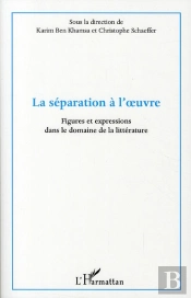 La Séparation À L'Oeuvre ; Figures Et Expressions Dans Le Domaine De La Littérature