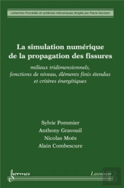 La Simulation Numérique De La Propagation Des Fissures ; Milieux Tridimensionnels, Fonctions De Niveau, Éléments Finis Étendus Et Critères Énergétiques