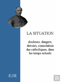 Bertrand.pt - La Situation: Douleurs, Dangers, Devoirs, Consolation Des Catholiques, Dans Les Temps Actuels