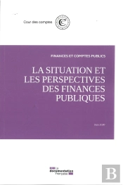 La Situation Et Les Perspectives Des Finances Publiques ; Juin 2010