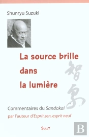 La Source Brille Dans La Lumiere